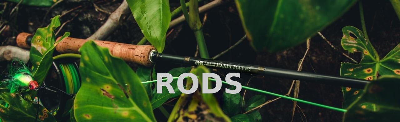 RODS