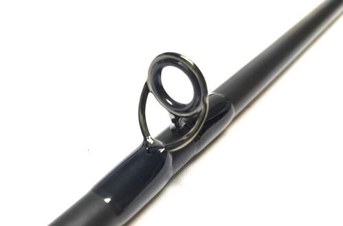 LS Rod 10'3'' #6-7